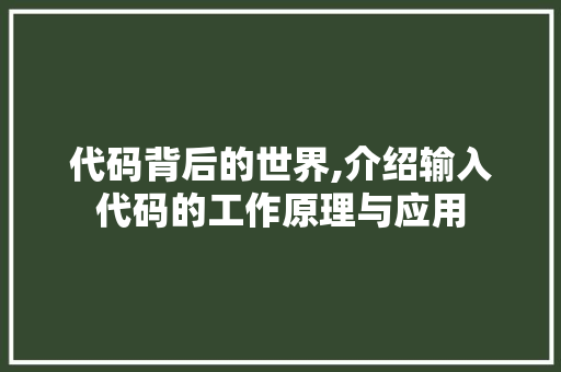 代码背后的世界,介绍输入代码的工作原理与应用