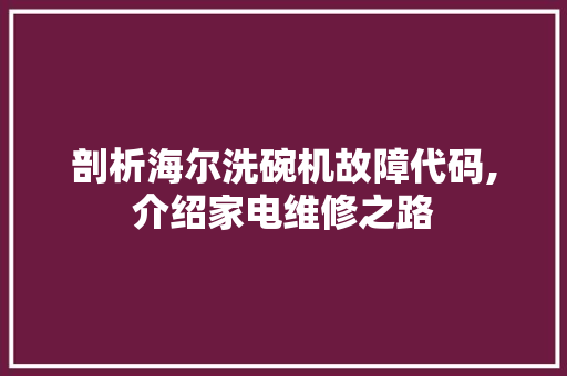 剖析海尔洗碗机故障代码,介绍家电维修之路