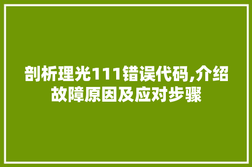 剖析理光111错误代码,介绍故障原因及应对步骤