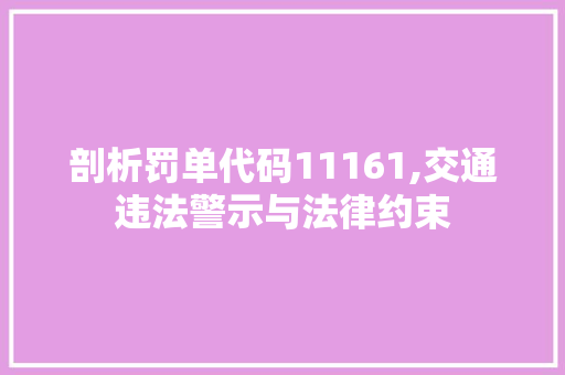 剖析罚单代码11161,交通违法警示与法律约束