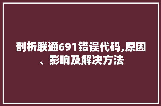 剖析联通691错误代码,原因、影响及解决方法