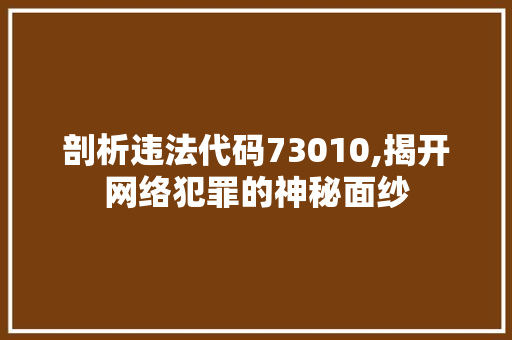 剖析违法代码73010,揭开网络犯罪的神秘面纱