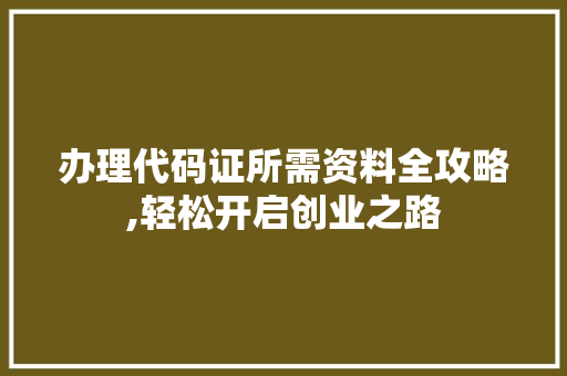 办理代码证所需资料全攻略,轻松开启创业之路