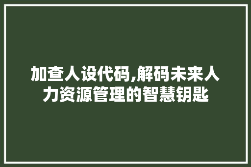 加查人设代码,解码未来人力资源管理的智慧钥匙