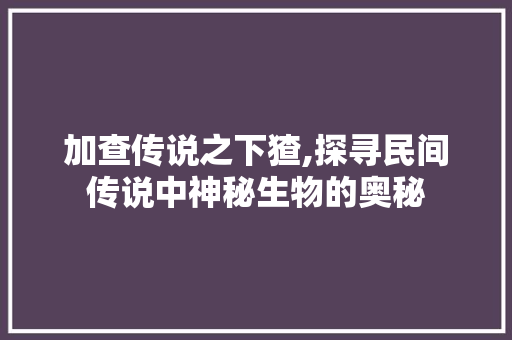 加查传说之下猹,探寻民间传说中神秘生物的奥秘