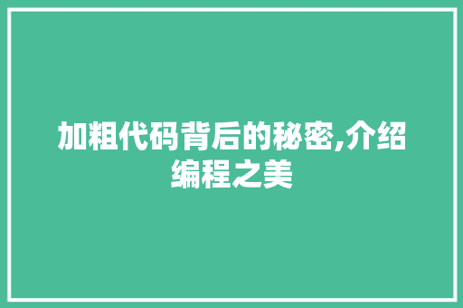 加粗代码背后的秘密,介绍编程之美