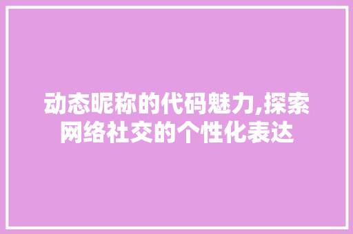 动态昵称的代码魅力,探索网络社交的个性化表达