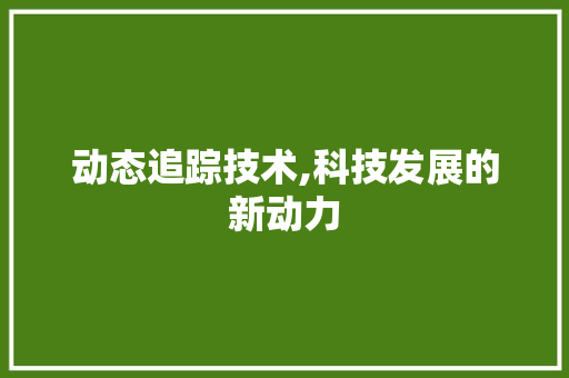 动态追踪技术,科技发展的新动力