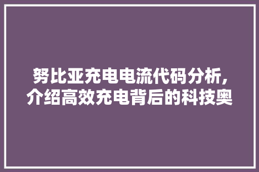 努比亚充电电流代码分析,介绍高效充电背后的科技奥秘