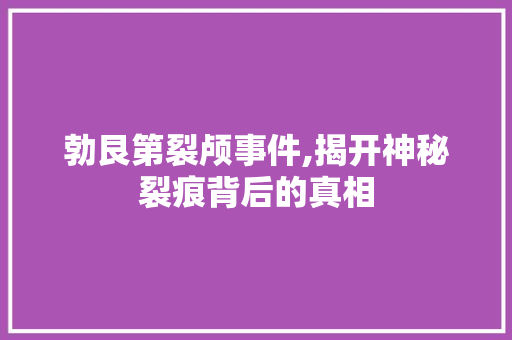 勃艮第裂颅事件,揭开神秘裂痕背后的真相