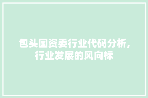 包头国资委行业代码分析,行业发展的风向标