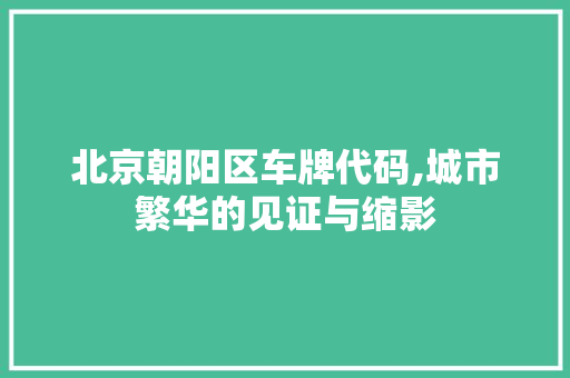 北京朝阳区车牌代码,城市繁华的见证与缩影 PHP