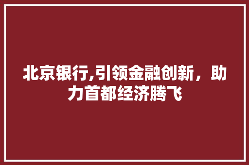 北京银行,引领金融创新，助力首都经济腾飞