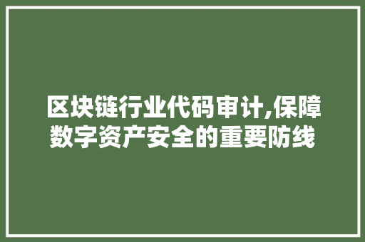 区块链行业代码审计,保障数字资产安全的重要防线