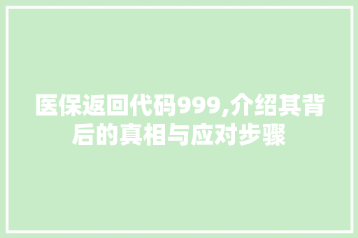 医保返回代码999,介绍其背后的真相与应对步骤