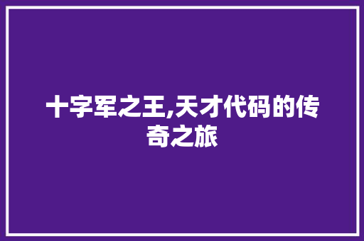 十字军之王,天才代码的传奇之旅