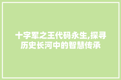 十字军之王代码永生,探寻历史长河中的智慧传承