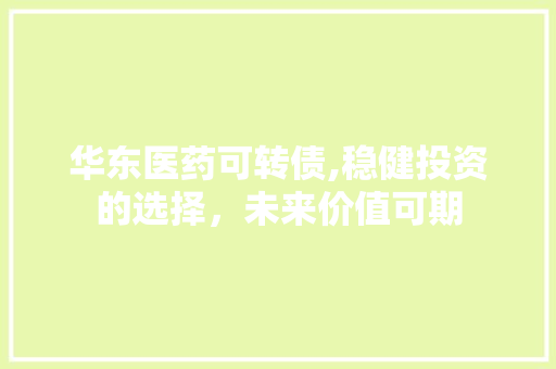 华东医药可转债,稳健投资的选择，未来价值可期