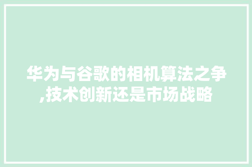 华为与谷歌的相机算法之争,技术创新还是市场战略