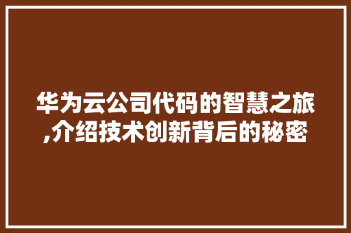 华为云公司代码的智慧之旅,介绍技术创新背后的秘密