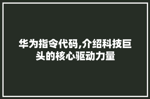 华为指令代码,介绍科技巨头的核心驱动力量