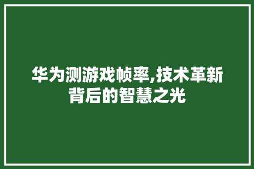 华为测游戏帧率,技术革新背后的智慧之光