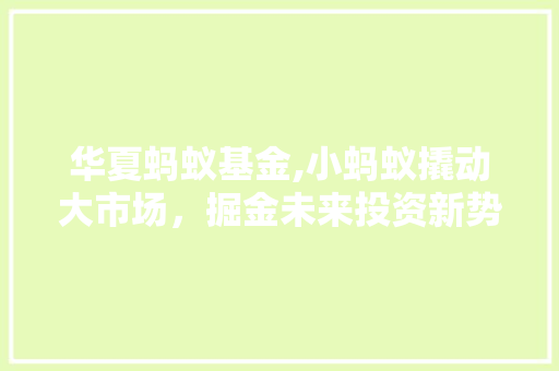 华夏蚂蚁基金,小蚂蚁撬动大市场，掘金未来投资新势力