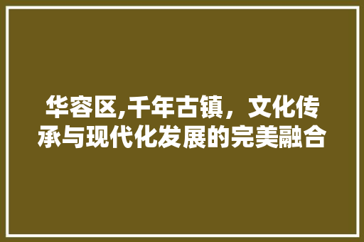 华容区,千年古镇，文化传承与现代化发展的完美融合