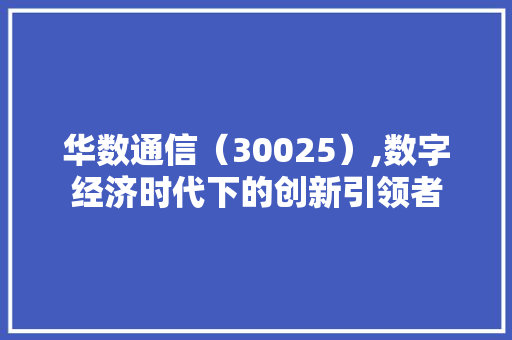 华数通信（30025）,数字经济时代下的创新引领者