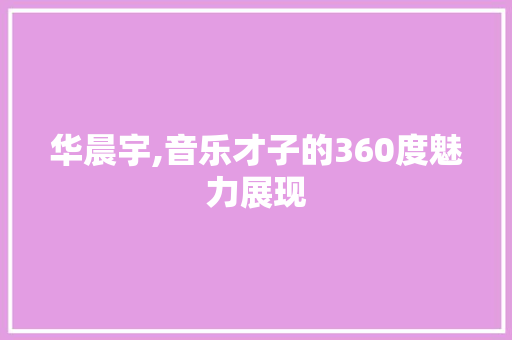 华晨宇,音乐才子的360度魅力展现