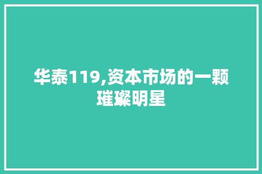 华泰119,资本市场的一颗璀璨明星