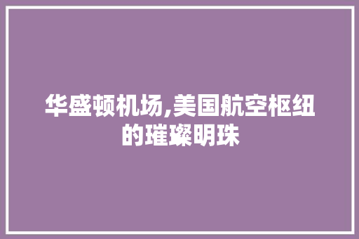 华盛顿机场,美国航空枢纽的璀璨明珠 Docker