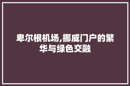 卑尔根机场,挪威门户的繁华与绿色交融