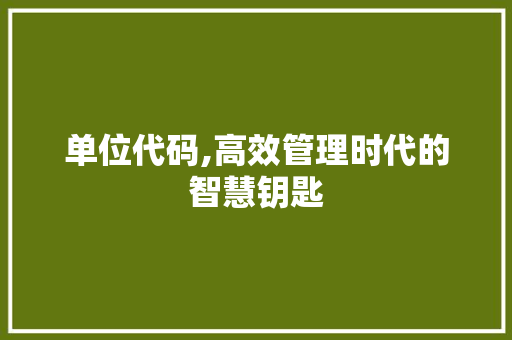 单位代码,高效管理时代的智慧钥匙