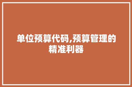 单位预算代码,预算管理的精准利器