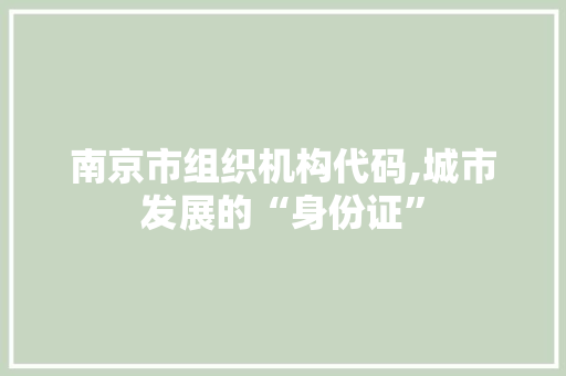 南京市组织机构代码,城市发展的“身份证”