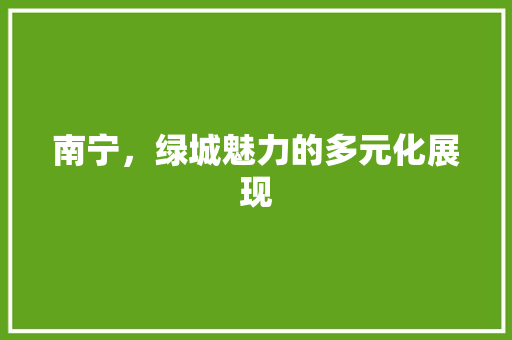 南宁，绿城魅力的多元化展现