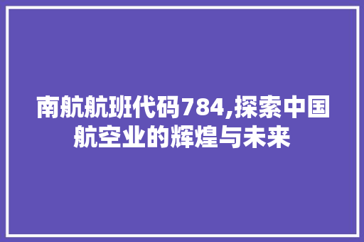 南航航班代码784,探索中国航空业的辉煌与未来