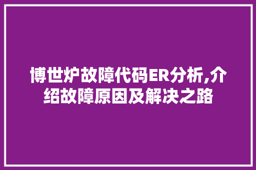 博世炉故障代码ER分析,介绍故障原因及解决之路