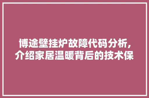 博途壁挂炉故障代码分析,介绍家居温暖背后的技术保障