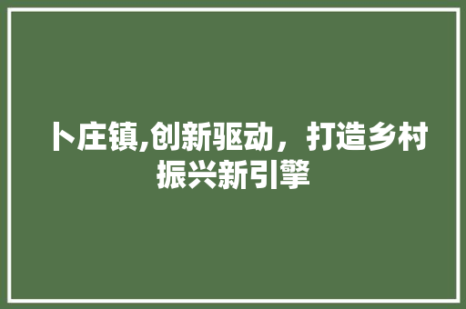 卜庄镇,创新驱动，打造乡村振兴新引擎