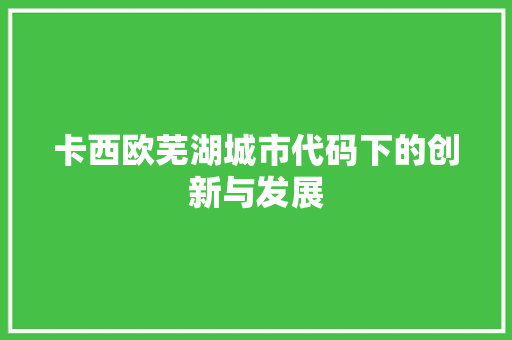 卡西欧芜湖城市代码下的创新与发展