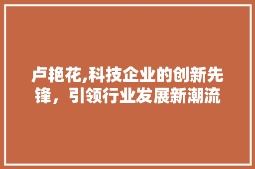 卢艳花,科技企业的创新先锋，引领行业发展新潮流