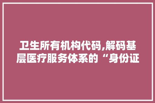 卫生所有机构代码,解码基层医疗服务体系的“身份证”