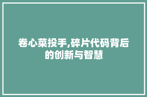 卷心菜投手,碎片代码背后的创新与智慧