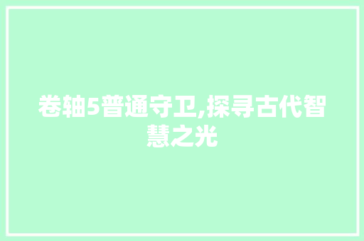 卷轴5普通守卫,探寻古代智慧之光