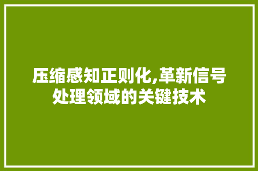 压缩感知正则化,革新信号处理领域的关键技术