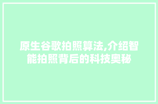 原生谷歌拍照算法,介绍智能拍照背后的科技奥秘