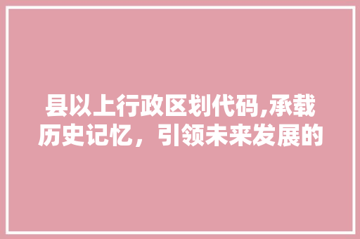 县以上行政区划代码,承载历史记忆，引领未来发展的信息纽带