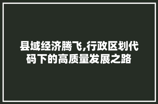 县域经济腾飞,行政区划代码下的高质量发展之路